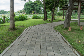 Concrete Pathway in garden