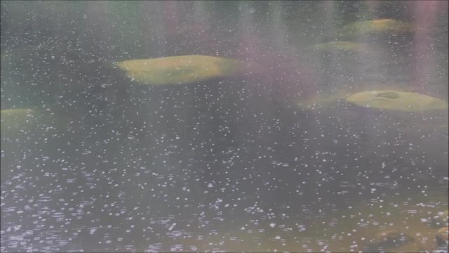 gotas de chuva caindo em lago