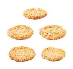 Oatmeal cookie isolated