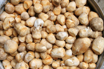 edible rice straw mushrooms in steel pot
