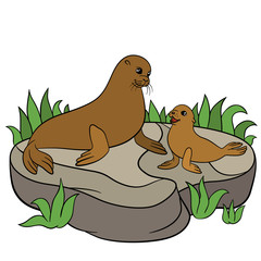 Cartoon animals. Mother fur seal with her baby.