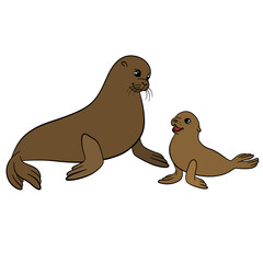 Cartoon animals. Mother fur seal with her baby.