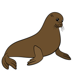 Cartoon animals. Little cute fur seal smiles.