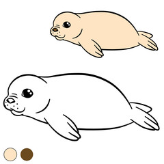 Coloring page with colors. Little cute white-coated baby fur seal