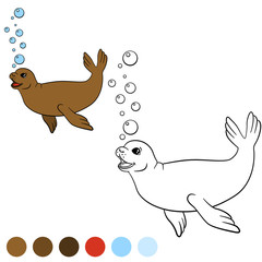 Coloring page with colors. Little cute brown seal swims.