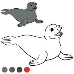 Coloring page with colors. Little cute gray seal.