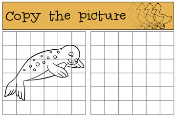 Educational game: Copy the picture. Little cute baby seal sleeps