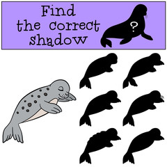 Educational game: Find the correct shadow. Little cute baby seal