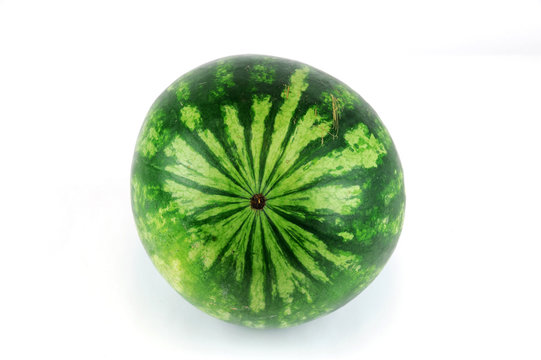 single watermelon on white background