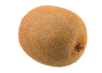 Fresh Green Kiwi Fruit