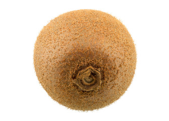 Fresh Green Kiwi Fruit