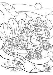Coloring pages. Mother jaguar with her little cute cubs.