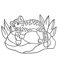 Coloring pages. Cute jaguar smiles.