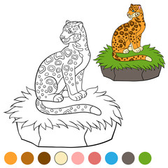 Coloring page with colors. Cute jaguar sits on the grass.