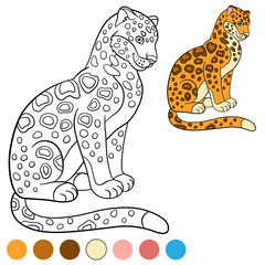 Coloring page with colors. Cute jaguar sits and smiles.