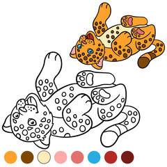 Coloring page with colors. Little cute baby jaguar.