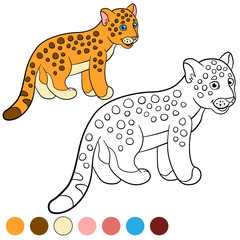 Coloring page with colors. Little cute baby jaguar.