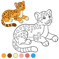 Coloring page with colors. Little cute baby jaguar.