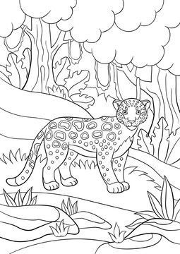 Coloring pages. Mother jaguar with her little cute cubs.