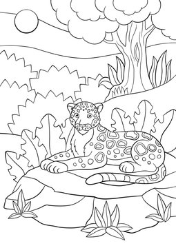 Coloring pages. Mother jaguar with her little cute cubs.