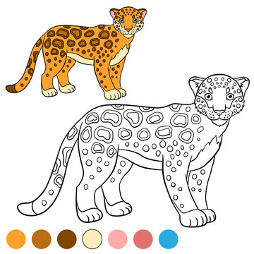 Coloring page with colors. Cute spotted jaguar smiles.