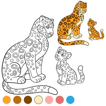 Coloring page with colors. Mother jaguar with her little cute cub.