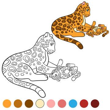 Coloring page with colors. Mother jaguar with her cub.