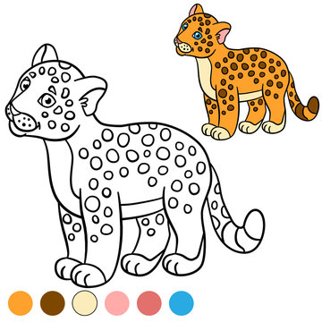 Coloring page with colors. Little cute baby jaguar.