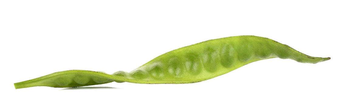 Sato seeds, Parkia speciosa seeds or bitter bea