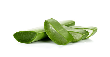 aloe vera leaf  isolated