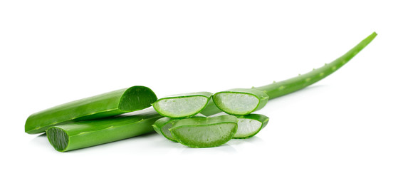 aloe vera leaf  isolated