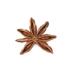 Chinese star anise seed isolated