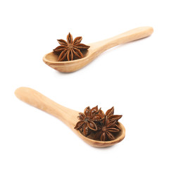 Chinese star anise seed isolated