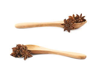 Chinese star anise seed isolated