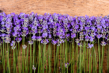 frame of lavender on a rustic wooden background