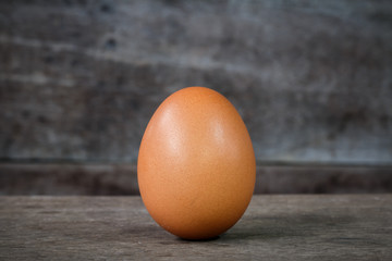 Single brown chicken egg