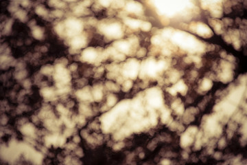 Abstract vintage color bokeh background