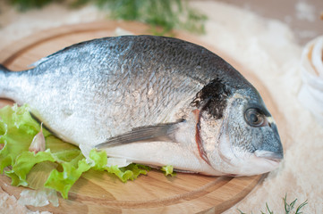 raw fish dorado close-up
