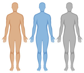 Human body outline in three colors