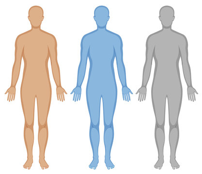 Human body outline in three colors