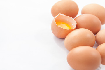 eggs isolated on white background
