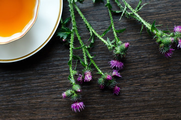 natural herbal antidepressant - organic thistle tea

in a white porcelain сup with fresh green leaves on a dark wooden table, shot at an angle of 90 degrees, for labels, packages, menus, etc
