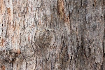 Old brown wood texture background