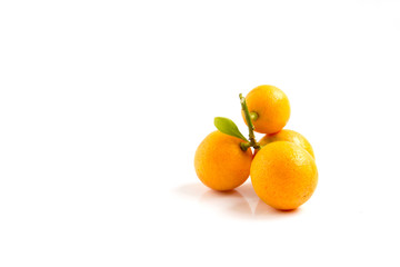 Orange Kumquat placed on white background