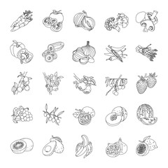 Fruit and vegetables outlines vector icons