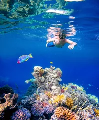 Photo sur Plexiglas Plonger Prise de vue sous-marine d& 39 un jeune garçon plongée en apnée en mer rouge