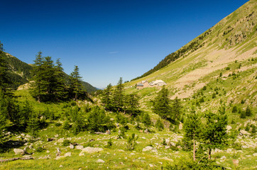 Madone de Fenestre - Mercantour