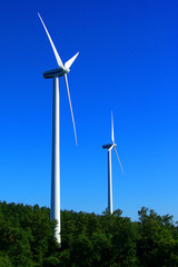 blades wind to create clean energy