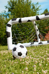 soccer ball and goal