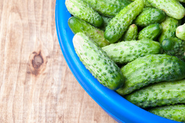 The image of fresh cucumber on a wooden table